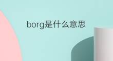 borg是什么意思 borg的中文翻译、读音、例句