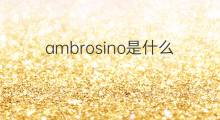 ambrosino是什么意思 英文名ambrosino的翻译、发音、来源