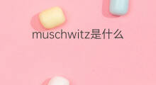 muschwitz是什么意思 muschwitz的中文翻译、读音、例句