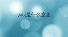 twx是什么意思 twx的中文翻译、读音、例句