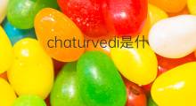 chaturvedi是什么意思 chaturvedi的中文翻译、读音、例句