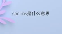 sacims是什么意思 sacims的中文翻译、读音、例句
