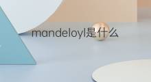 mandeloyl是什么意思 mandeloyl的中文翻译、读音、例句