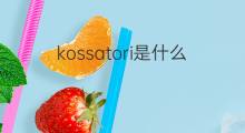 kossatori是什么意思 kossatori的中文翻译、读音、例句