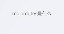 malamutes是什么意思 malamutes的中文翻译、读音、例句