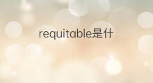 requitable是什么意思 requitable的中文翻译、读音、例句