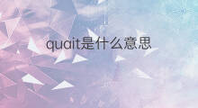 quait是什么意思 quait的中文翻译、读音、例句