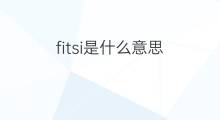 fitsi是什么意思 fitsi的中文翻译、读音、例句