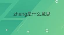 zheng是什么意思 zheng的中文翻译、读音、例句