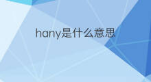 hany是什么意思 hany的中文翻译、读音、例句