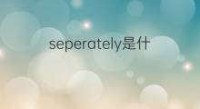 seperately是什么意思 seperately的中文翻译、读音、例句