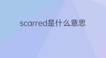scarred是什么意思 scarred的中文翻译、读音、例句