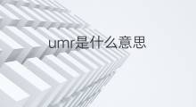 umr是什么意思 umr的中文翻译、读音、例句