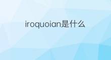 iroquoian是什么意思 iroquoian的中文翻译、读音、例句