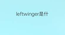 leftwinger是什么意思 leftwinger的中文翻译、读音、例句