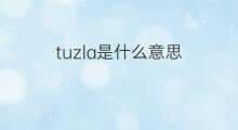 tuzla是什么意思 tuzla的中文翻译、读音、例句