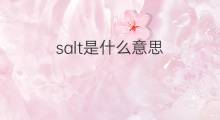 salt是什么意思 salt的中文翻译、读音、例句