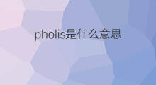 pholis是什么意思 pholis的中文翻译、读音、例句