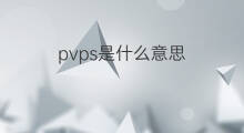 pvps是什么意思 pvps的中文翻译、读音、例句