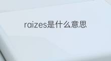 raizes是什么意思 raizes的中文翻译、读音、例句