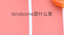 tendsome是什么意思 tendsome的中文翻译、读音、例句