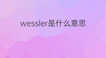 wessler是什么意思 wessler的中文翻译、读音、例句