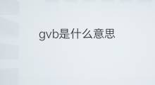 gvb是什么意思 gvb的中文翻译、读音、例句