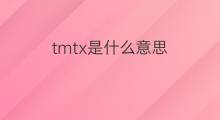 tmtx是什么意思 tmtx的中文翻译、读音、例句