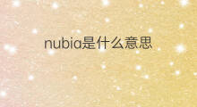 nubia是什么意思 nubia的中文翻译、读音、例句
