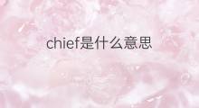 chief是什么意思 chief的中文翻译、读音、例句