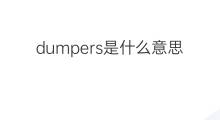 dumpers是什么意思 dumpers的中文翻译、读音、例句