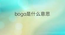 boga是什么意思 boga的中文翻译、读音、例句