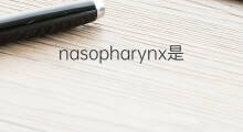 nasopharynx是什么意思 nasopharynx的中文翻译、读音、例句