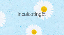 inculcating是什么意思 inculcating的中文翻译、读音、例句