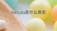 torcula是什么意思 torcula的中文翻译、读音、例句