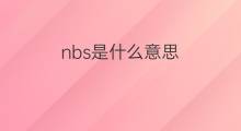 nbs是什么意思 nbs的中文翻译、读音、例句