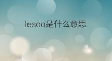lesao是什么意思 lesao的中文翻译、读音、例句