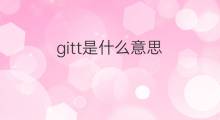 gitt是什么意思 gitt的中文翻译、读音、例句