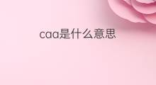 caa是什么意思 caa的中文翻译、读音、例句