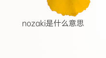 nozaki是什么意思 nozaki的中文翻译、读音、例句