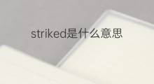 striked是什么意思 striked的中文翻译、读音、例句