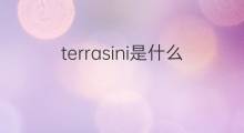 terrasini是什么意思 terrasini的中文翻译、读音、例句