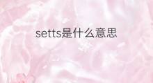 setts是什么意思 setts的中文翻译、读音、例句
