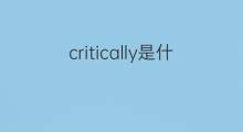 critically是什么意思 critically的中文翻译、读音、例句