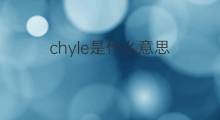 chyle是什么意思 chyle的中文翻译、读音、例句