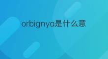 orbignya是什么意思 orbignya的中文翻译、读音、例句
