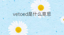 vetoed是什么意思 vetoed的中文翻译、读音、例句