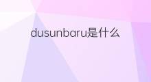 dusunbaru是什么意思 dusunbaru的中文翻译、读音、例句