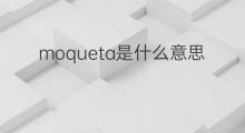 moqueta是什么意思 moqueta的中文翻译、读音、例句