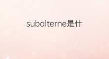 subalterne是什么意思 subalterne的中文翻译、读音、例句